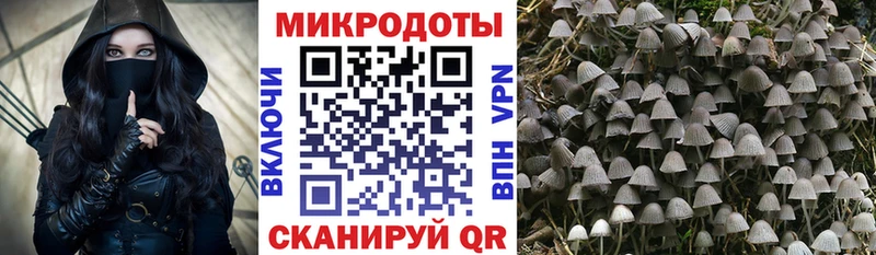 Галлюциногенные грибы мухоморы  Купить где  Мглин 